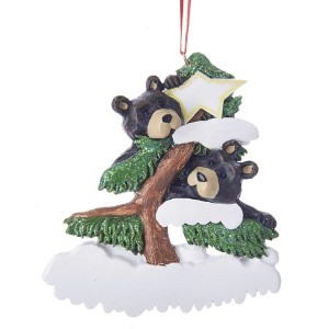 Kurt Adler Resin Ornament for Christmas Tree, Bear Family of 2 - 1 of 1