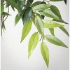 Sullivans 6'8"H Artificial Smilax Polyester Tree Green - 2 of 3