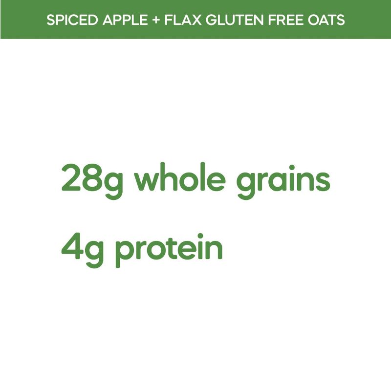 Nature's Path Organic Gluten Free Oatmeal  Spiced Apple with Flax - 11.3oz, 5 of 7