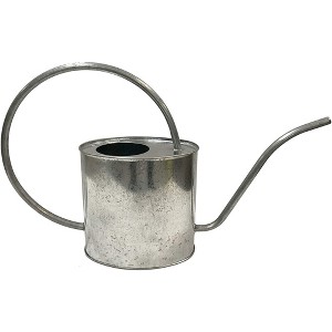 Gardener Select Metal Oval Watering Can, Galvanized, 0.5 Gallon - 1 of 2