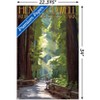 Trends International Lantern Press - Redwoods Pathway in Trees Unframed Wall Poster Prints - 3 of 4