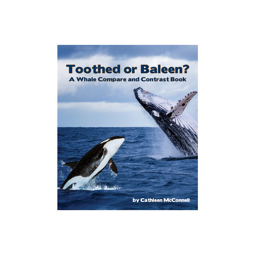 Toothed or Baleen? a Whale Compare and Contrast Book - by Cathleen McConnell (Paperback)