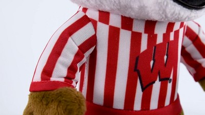 Bleacher Creatures University Of Wisconsin Mascot Bucky Badger 10 Plush  Figure : Target