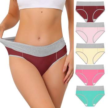 Unique Bargains Women's Plus Size Satin Soft Mid-rise Ruffle Hipster Thong  Underwear