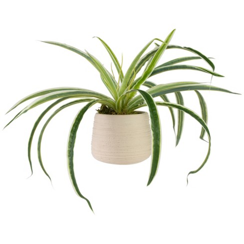 Hanging Spider Plant Silk Foliage Planter