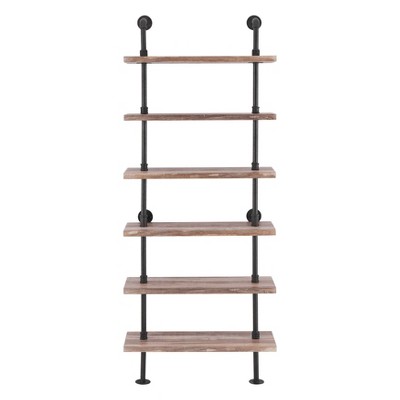 Modern Industrial 6-Tier Iron Pipe wall Mount Ladder Shelf Distressed Wood - Danya B.