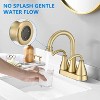 LunaLulink 2-Handle Bathroom Sink Faucet with Pop-up Drain Brushed Golden - 2 of 4