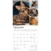 BrownTrout Cat Lovers 2026 12"x24" Hanging Square Wall Calendar Plastic-Free - 4 of 4