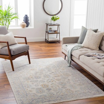 Hauteloom Coby Sage Avant Garde Area Rug