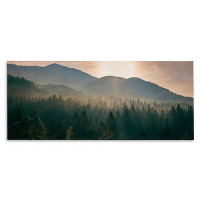 Stupell Industries Morning Sun over Misty Trees, 40" x 17"