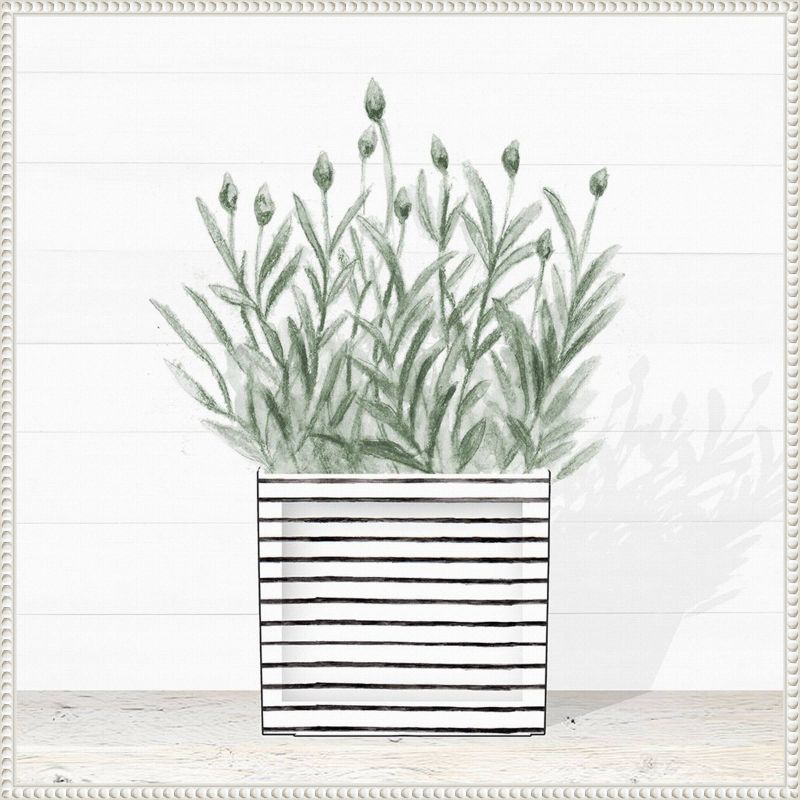 30&#34;x30&#34; Lavender Blossom in Modern Pot III by Janice Gaynor Framed Canvas Wall Art Print White - Amanti Art, 1 of 10