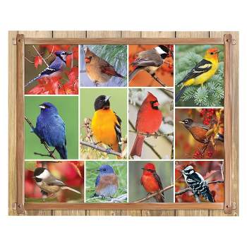 Springbok Songbirds Puzzle 100pc