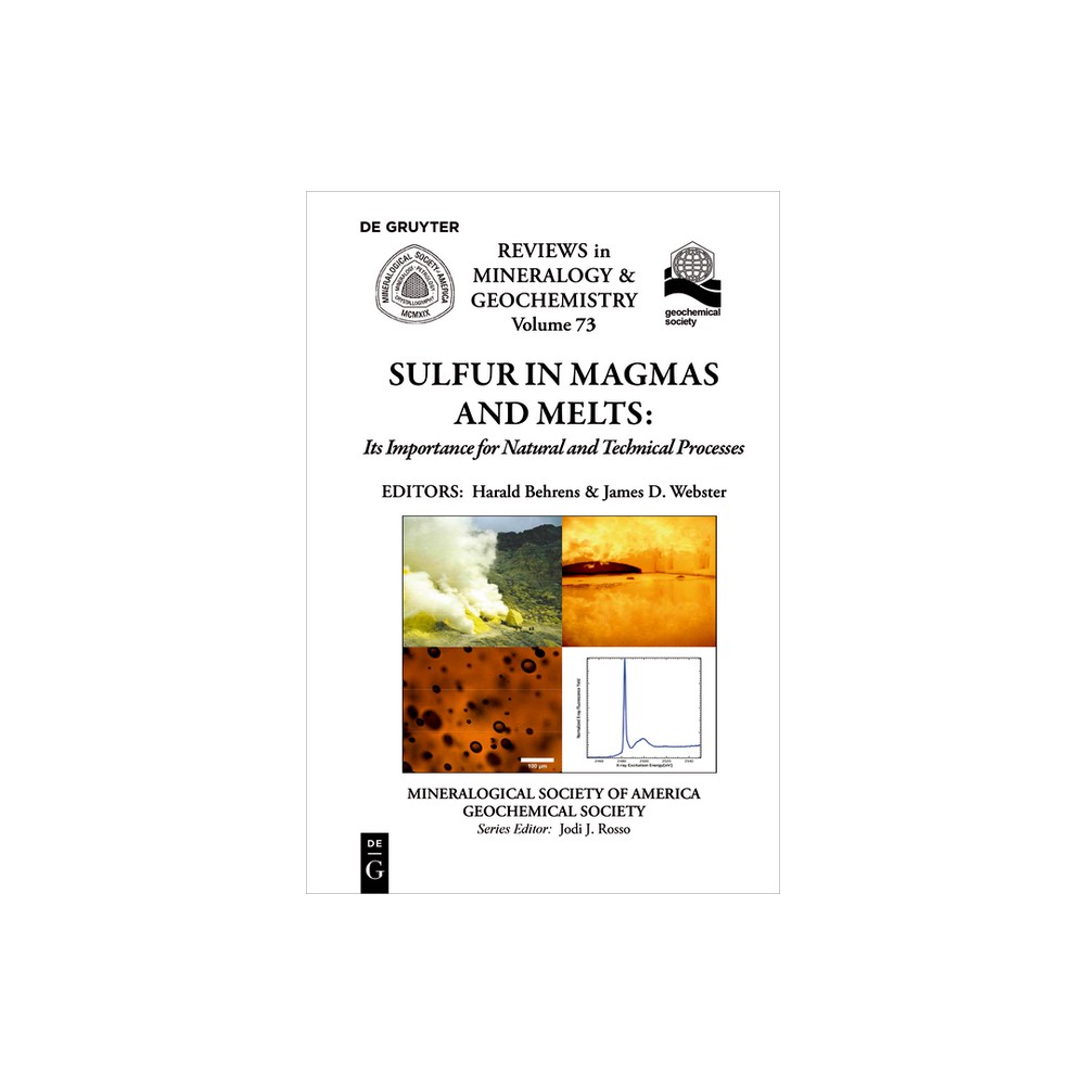 Sulfur in Magmas and Melts: - (Reviews in Mineralogy & Geochemistry) by Harald Behrens & James D Webster (Paperback)