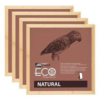 Ambiance Eco Frames - 4 Packs - Assorted Sizes and Colors