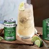 Fever Tree Ginger Ale - Premium Quality Mixer - Refreshing Beverage for Cocktails & Mocktails 200ml Bottles - 4 of 4