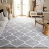 Tahoe Shag THO677 Power Loomed Indoor Rugs - Safavieh - 2 of 4