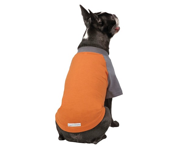 Insect Shield Premium Dog Tee - Carrot - Small/Medium