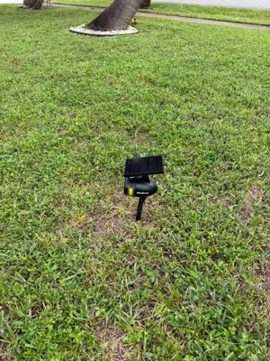 Guest review image 2 of 3, zoom in