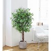 Artificial Ficus Tree 2 Pack, 1008 Flat Leaves Faux Plant with Black Nursery Pot, 2-Trunk Fake Ficus Tree for Home Office Indoor Outdoor Decoration - 4 of 4