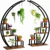 Acekool 5-Tier Half Moon Plant Stand, 2-Pack Tall Metal Plant Shelf with Hooks, Space-Saving Indoor Flower Rack for Living Room, Balcony, Black - 3 of 4