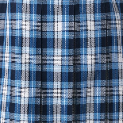 clear blue plaid
