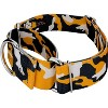Country Brook Petz® 1 1/2 Martingale Dog Collar - Sports and Athletics Collection - 2 of 4