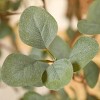 DR.Planzen 8ft UV Resistant Artificial Eucalyptus Tree with Grey Tall Planter, Fake Plant for Indoor Outdoor Home Decor, Big Faux Plant for Home Decor - 3 of 4