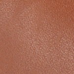 chestnut