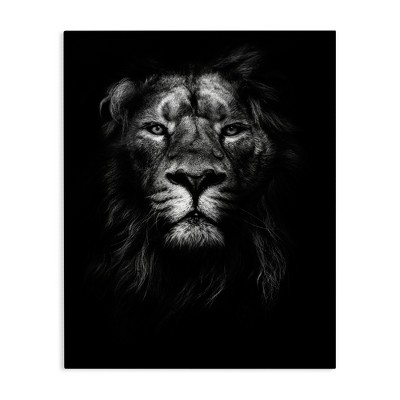 Stupell Industries King of the Jungle Lion In Shadows Black and White Photography