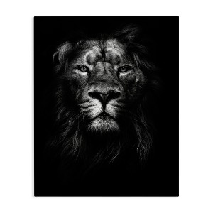Stupell Industries King of the Jungle Lion In Shadows Black and White Photography - 1 of 4