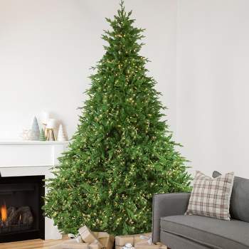 Northlight Real Touchâ„¢ï¸ Pre-Lit Full Minnesota Balsam Fir Artificial Christmas Tree - 12 FT - Warm White LED