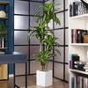 DR.Planzen 4-6ft Artificial Dracaena Plant, Pre Potted Faux Plant for Office House Living Room Indoor Home Decor - 3 of 4