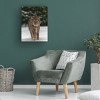 Canvas Wall Art - Michaela Firesova 'Meet The Lynx' Wall Art for Living Room, Bedroom, or Office Décor by Trademark Fine Art - 4 of 4