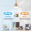 Airsurfer 52" Ceiling Fan with LED Light and Remote,3-Blade Modern Ceiling Fan with Reversible DC Motor, Color-Changing Light, Memory Function - 4 of 4