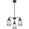 Quoizel Lighting Ludlow 3 - Light Chandelier in  Earth Black - 3 of 4