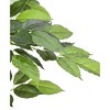 Seasonal LLC Artificial Potted Ficus Tree 67in - 4 of 4