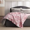 Bedsure- Cloud Soft PV Blanket ,Comfy Plush and Furry Faux Fur - 2 of 4