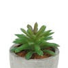Unique Bargains Artificial Plants Green 2.76"x2.76"x4.33" 1 Pcs - 4 of 4