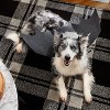 Milk-Bone Gravy Bones Halloween Box with Liver, Bacon, Beef and Chicken Dog Treat - 4oz - 3 of 4