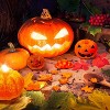 JDICTION 7Pcs Halloween Thanksgiving Resin Molds - Pumpkin, Ghost & Maple Silicone for Epoxy Casting, Candle, Fall DIY Craft & Decoration - 4 of 4