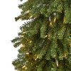 5ft Nearly Natural Pre-Lit Grand Alpine Artificial Christmas Tree Clear Lights - 3 of 4