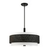 Livex Lighting Noria 5 - Light Chandelier in  Black - 4 of 4
