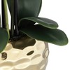 Dahlia Studios Potted Faux Artificial Flowers Realistic White Orchid in Gold Pot with Round Riser Home Decor Living Room 23" High - 3 of 4