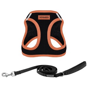 Voyager Step-In Air Dog Harness and 5' Leash Sets - 1 of 4