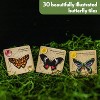 Lovemore Games Jewel Box Family Board Game, Strategic Tile Placement Game for Kids and Adults with 75 Unique Beetles, Great Educational Game for Ages 8+ - 1-4 Players - 3 of 4