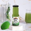 Aam Panna - 6.7 fl oz (200 ml) Pack of 6 - Rani Brand Authentic Indian Products - 2 of 4