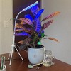 Tierra Garden Plant Deluxe 5 Piece Kit - Two Plant Alarms, one Grow Light, Grooming Kit and Spike Water Kit - 3 of 4
