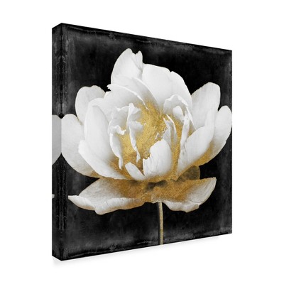 Trademark Fine Art -Color Bakery 'Gilda II' Canvas Art