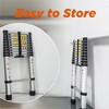 Telescopic Extension Ladder - 2 of 4