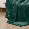 VCNY 50"x70" Oversized Adrianna High Pile Plush Throw Blanket Green: Luxury Hypoallergenic, Machine Washable - 3 of 4